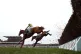 Modus (left) ridden by Barry Geraghty at Aintree Racecourse,