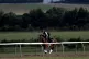 Yoshida on the gallops during the Royal Ascot international 