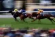  King George Day at Ascot Racecourse