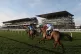 Cheltenham
