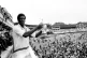 SOURCE OF PRIDE: Joel Garner holds aloft the World Cup troph