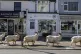 A herd of goats take advantage of quiet streets near Trinity