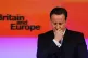 Former  Prime Minister David Cameron in 2013