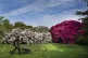 Gardner Chris Brock, 43, at the National Trust's Seaton Dela