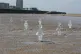 Some of 26 ice sculptures of children installed on New Brigh