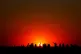 A crowd of people watch the setting sun from a hill in Ealin