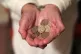 An elderly woman holding pound coins in her hands, in Poole,