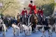 Riders and hounds during the annual North Cotswold Boxing Da