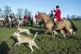Members of the Meynell and South Staffordshire Hunt near Utt
