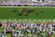 Porta Fortuna ridden by Frankie Dettori wins the Albany Stak