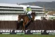 Capodanno ridden by jockey Paul Townend on their way to winn
