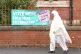 A woman walks past a sign for a polling station location in 