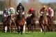 Springtime Promise ridden by jockey Connor Brace (second rig