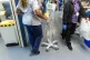 Staff on a NHS hospital ward at Ealing Hospital in London, J