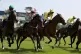 Aimeric (third left) ridden by jockey James Doyle on their w