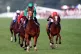 Calandagan ridden by St�phane Pasquier on their way to win