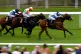-2023 of Darkness ridden by jockey Neil Callan (right)