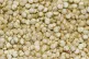Quinoa grains 