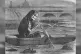 The 1858 malodorous heatwave was linked to outbreaks of dise