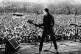White riot