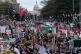 Pro-Palestine protesters in Washington