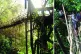 bridges