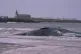 The body of the Sperm Whale washed up at Newbiggin-by-the-Se