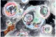 bubble