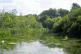 The River Itchen in Hampshire is one of the world's premier 