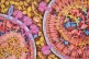 COMPLEX: Watercolour and ink on paper illustration of HIV ma