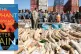 Cambodian Customs Department seized more than 3 tonnes of Iv