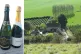 CHEERS! Ridgeview and Nyetimber, English sparkling wines pro