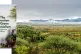 INVASIVE: Awash National Park, Ethiopia