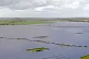An aerial view of a solar farm in Hampshire