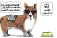 Cartoon: Citizen Chicane