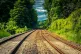 Transport is the biggest polluter, in terms of greenhouse ga