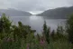 Bonny: Loch Lomond