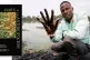 ANTICIPATED BY MARX: An environmental degradation in the Nig