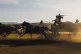 round up