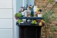 An overflowing rubbish bin

