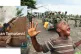 Democratic Republic of the Congo