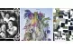 albums 3