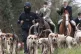'The sabs leapt into action. We drove down the country roads