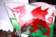 Welsh flag
